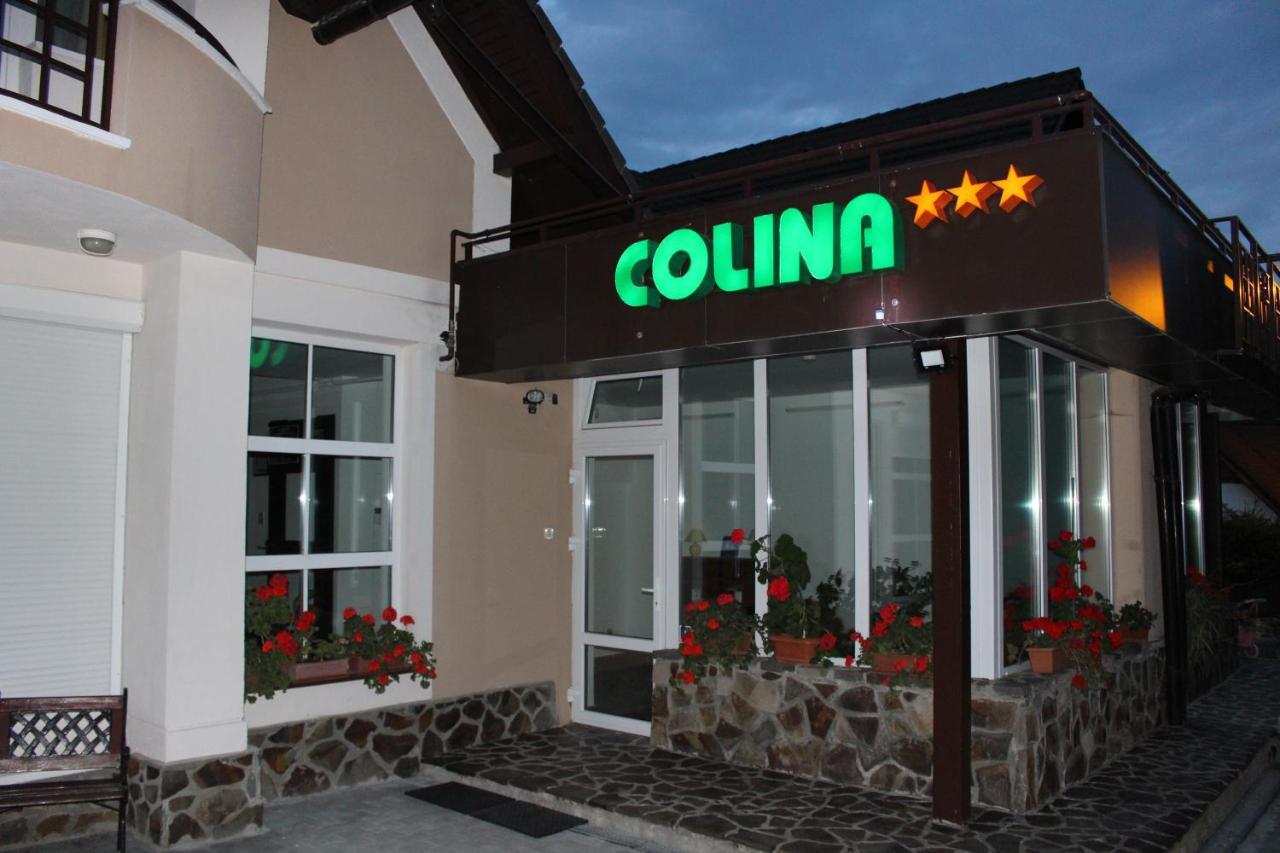 Pensiunea Colina ポイアナ・ブラショフ エクステリア 写真